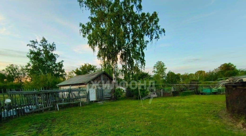 дом р-н Краснозерский с Майское ул Целинная сельсовет, Майский фото 4