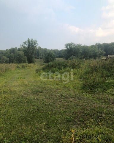 земля д Нижний Коен Бердск фото