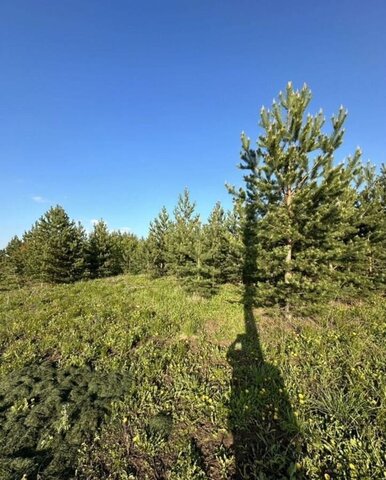 с Новоникольск Новоникольское сельское поселение, Альметьевск фото