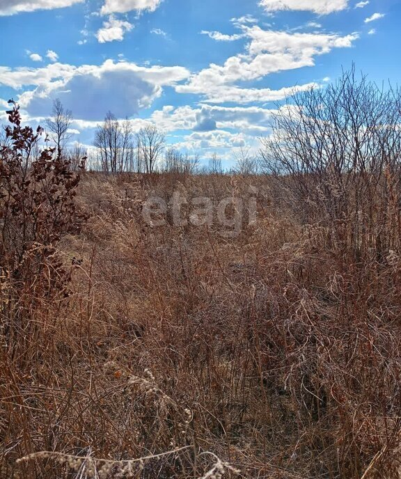 земля г Благовещенск ш Новотроицкое 17й километр фото 2