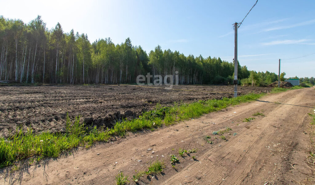 земля г Тюмень ул Рябиновая территория СОСН Автоприбор фото 6