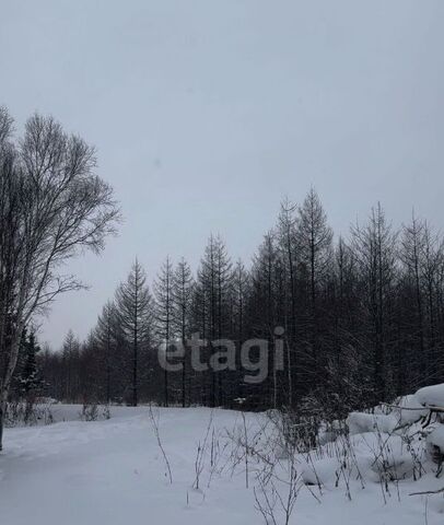 земля р-н Анивский снт Геркулес фото