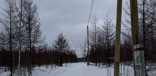 земля р-н Анивский снт Геркулес фото