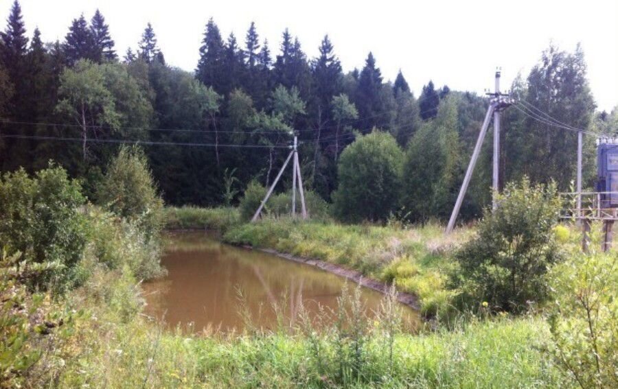 земля городской округ Сергиево-Посадский рп Скоропусковский 34, СНТ Ивашково фото 13