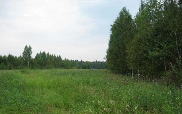 земля р-н Гатчинский п Сиверский Сиверское городское поселение фото 1