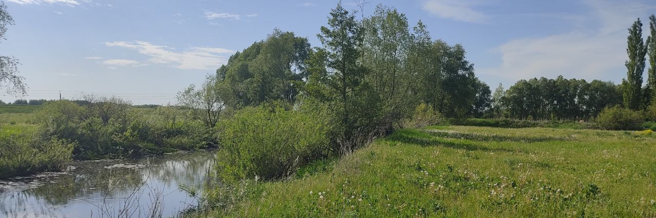 земля р-н Кармаскалинский д Нижнетимкино ул Мира 3/1 Кабаковский сельсовет фото 26