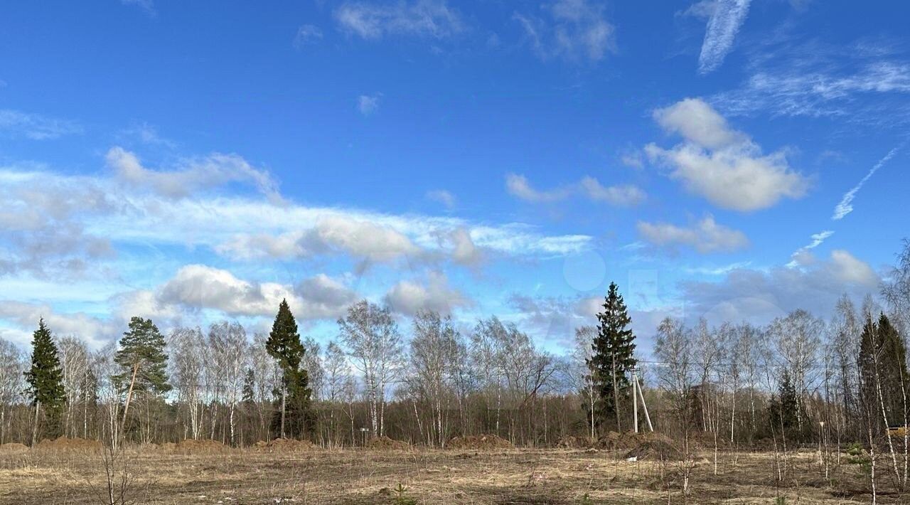 земля г Домодедово д Старосъяново ул Новая Домодедовская фото 1