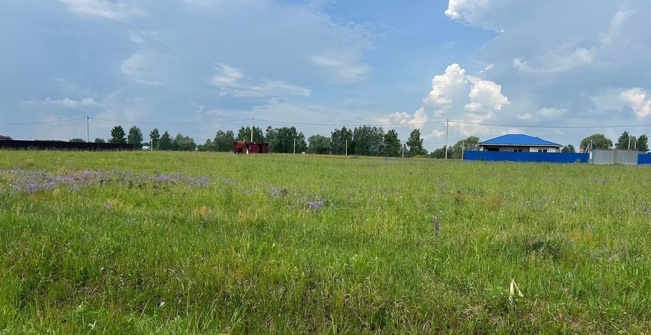 земля городской округ Раменский с Карпово Электроизолятор фото 1