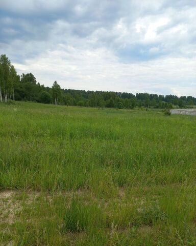 земля городской округ Наро-Фоминский д Ковригино Верея фото