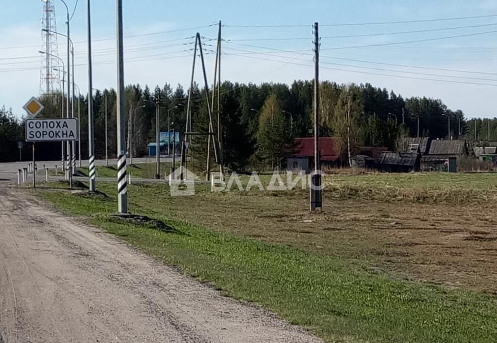 земля р-н Кондопожский г Кондопога Кончезерское сельское поселение фото 3