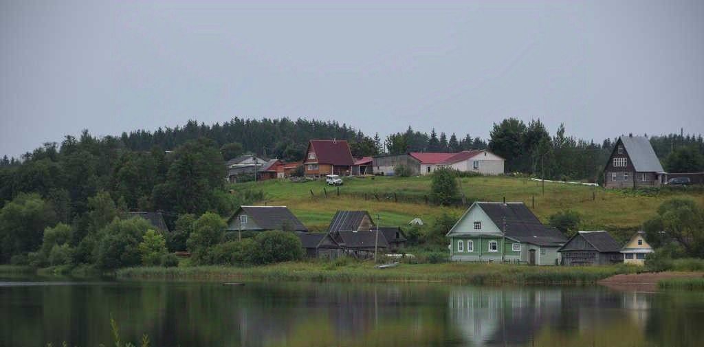 земля р-н Демянский с Полново ул Молодежная фото 3