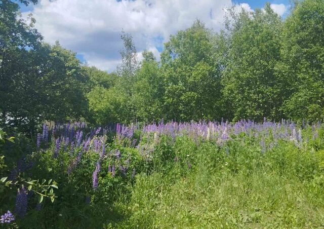 земля снт Марино муниципальное образование Александров фото