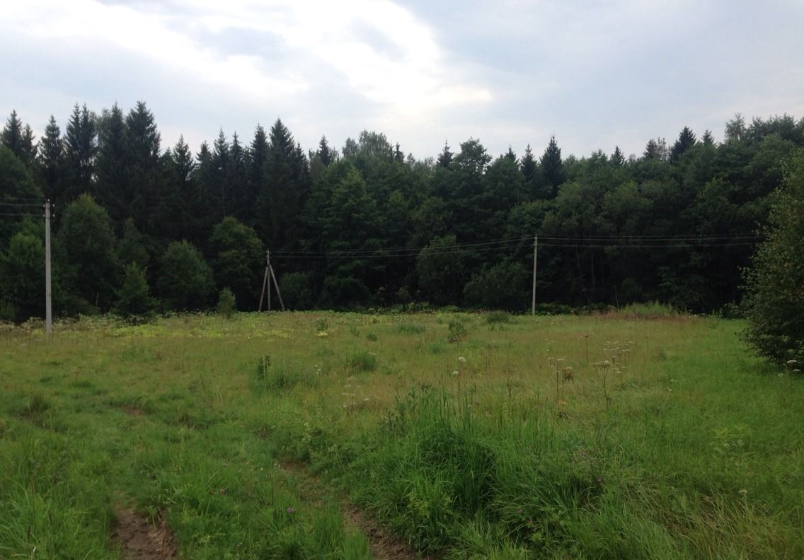 земля городской округ Талдомский г Талдом снт Щит 21 фото 3