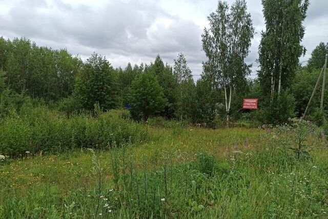 городской округ Ревда, СНТ Заря-5 фото