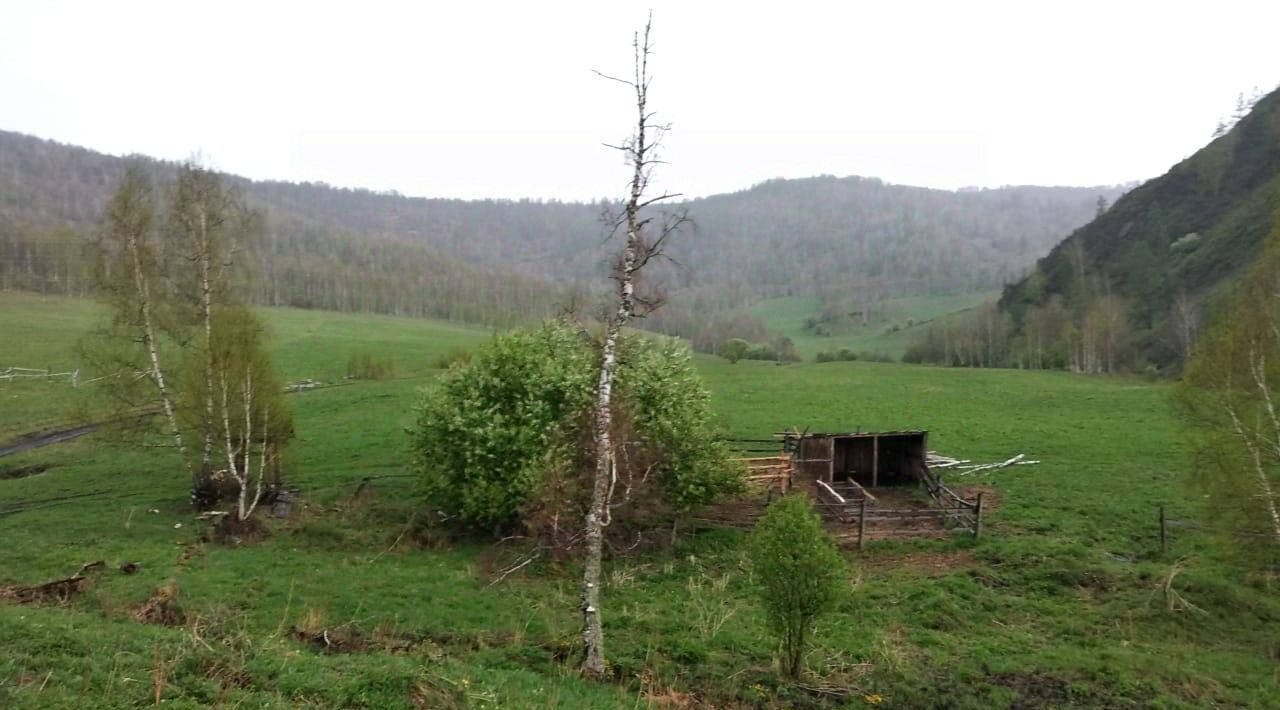 земля р-н Чемальский с Уожан фото 1