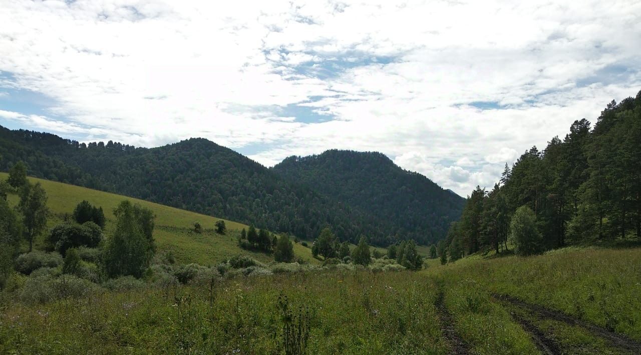 земля р-н Чемальский с Уожан фото 17