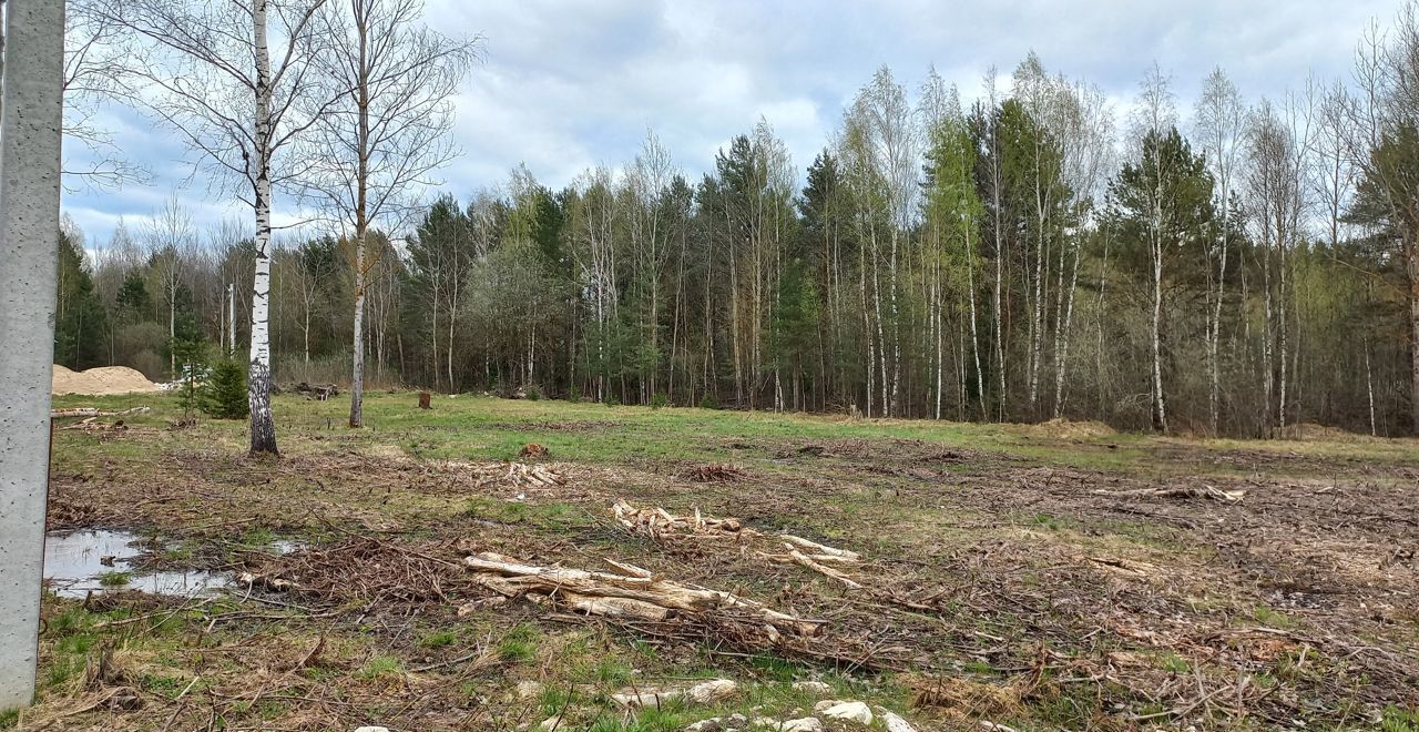 земля городской округ Богородский д Гаврилово Ногинск фото 2