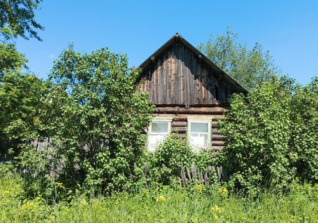 земля д Жеребенки Завьялово фото