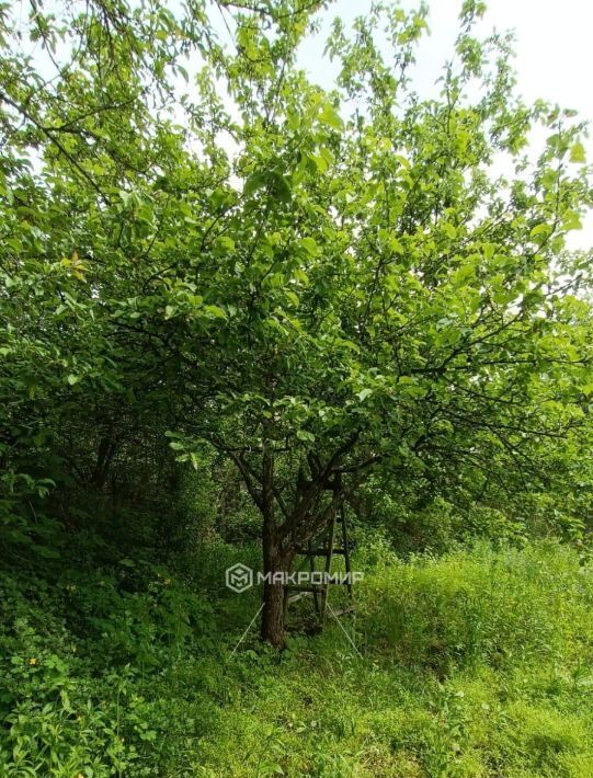 дом г Орел р-н Железнодорожный ул Ливенская фото 1