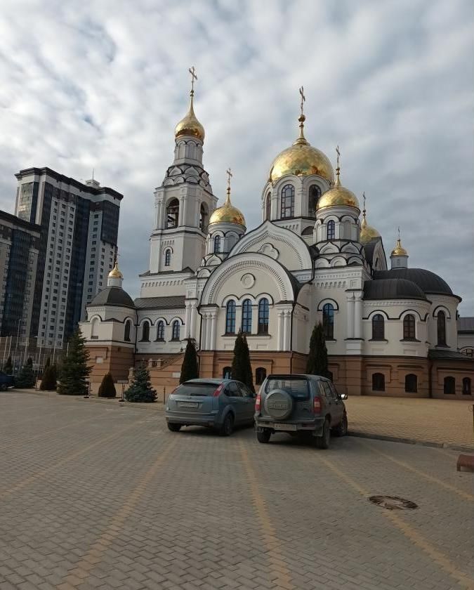 квартира г Воронеж р-н Центральный ЖК «‎Яблоневые Сады» фото 9