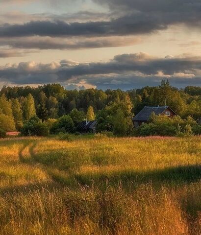 рп Красный Гуляй ул Пчеловская Красногуляевское городское поселение фото