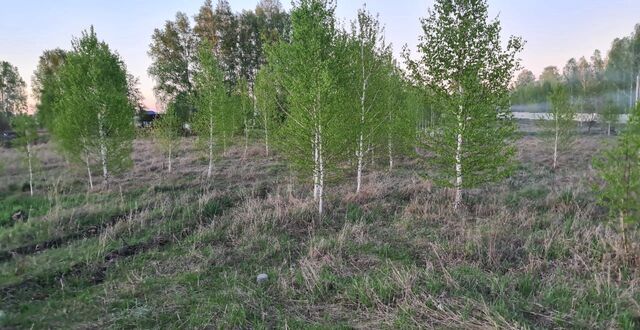 ул Сиреневая 222 Коченёвский муниципальный р-н, садовое товарищество Витязь фото