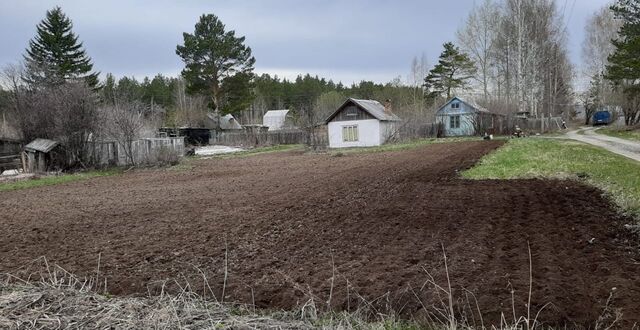 сад тер Коллективный№ 3 Серовского ферросплавного завода Серовский г. о. фото