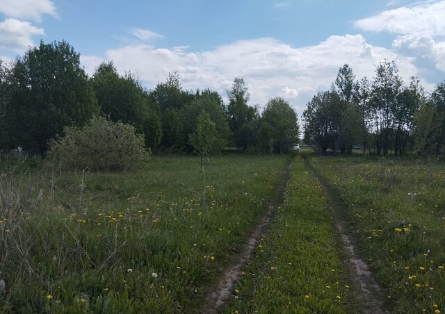земля муниципальное образование Селецкое, Суздаль фото