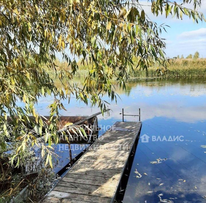 дом р-н Пронский г Новомичуринск 93, Медик садовое товарищество фото 15