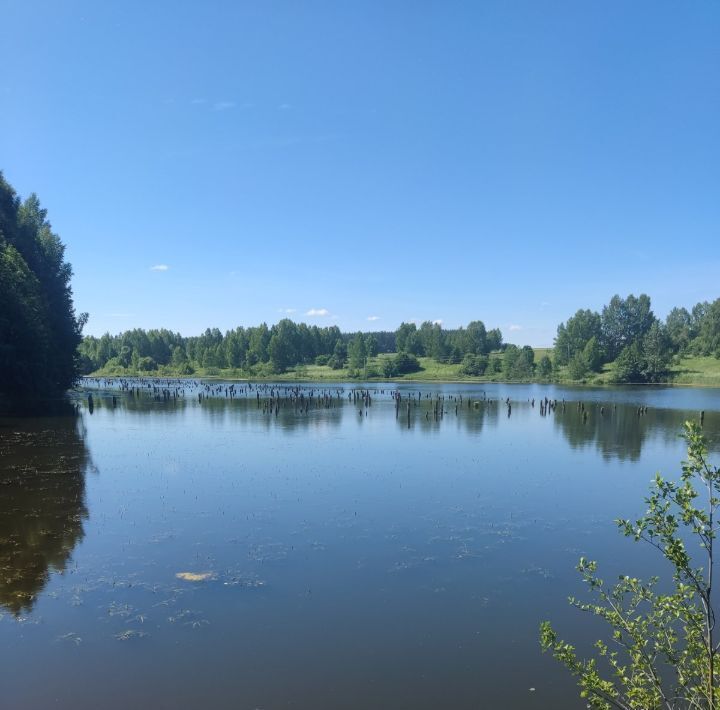 земля р-н Богородский с Афанасьево ул Филипповка фото 3