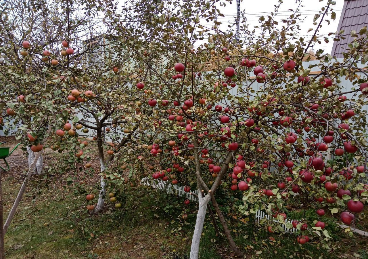 дом городской округ Мытищи д Ховрино огородное товарищество Ховрино-2, 217, Москва, Медведково фото 22