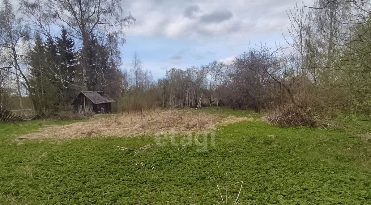 дом р-н Палкинский д Леонтьево Палкинская волость фото 14