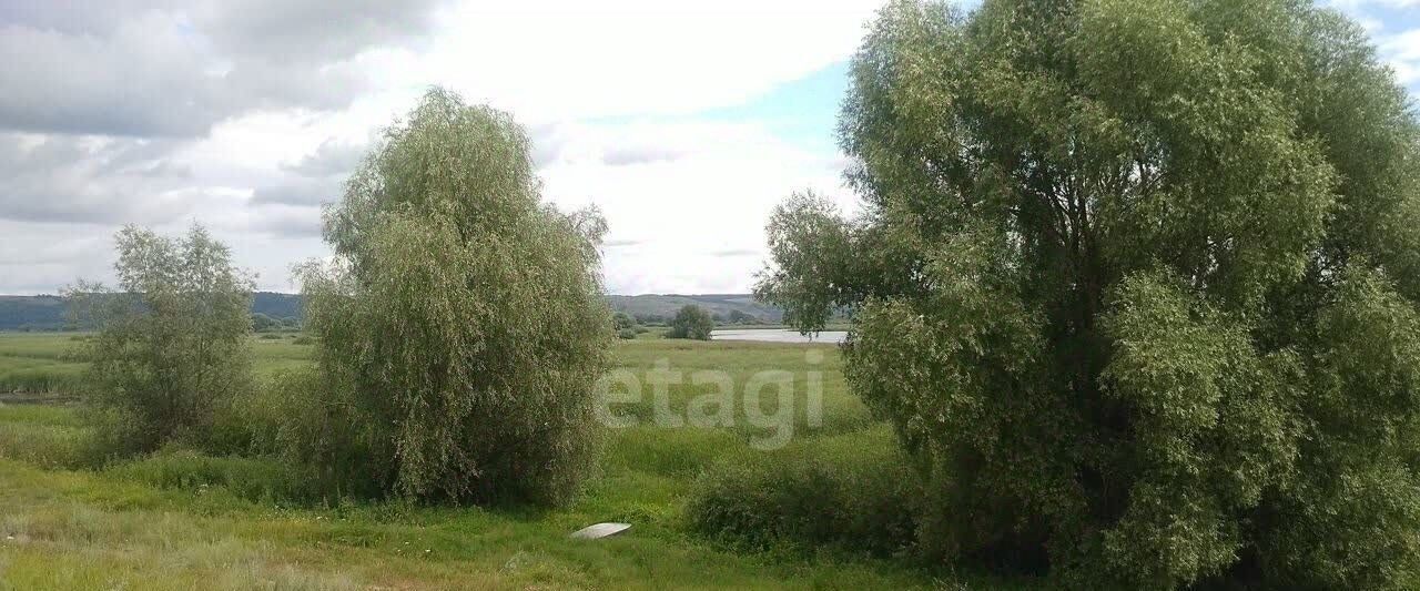 земля р-н Зеленодольский с Бритвино муниципальное образование, Нижние Вязовые фото 6