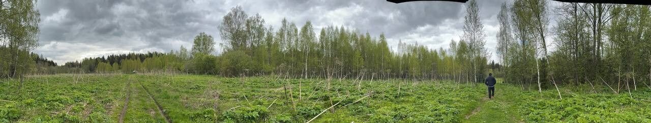 земля городской округ Дмитровский д Удино Икша фото 12