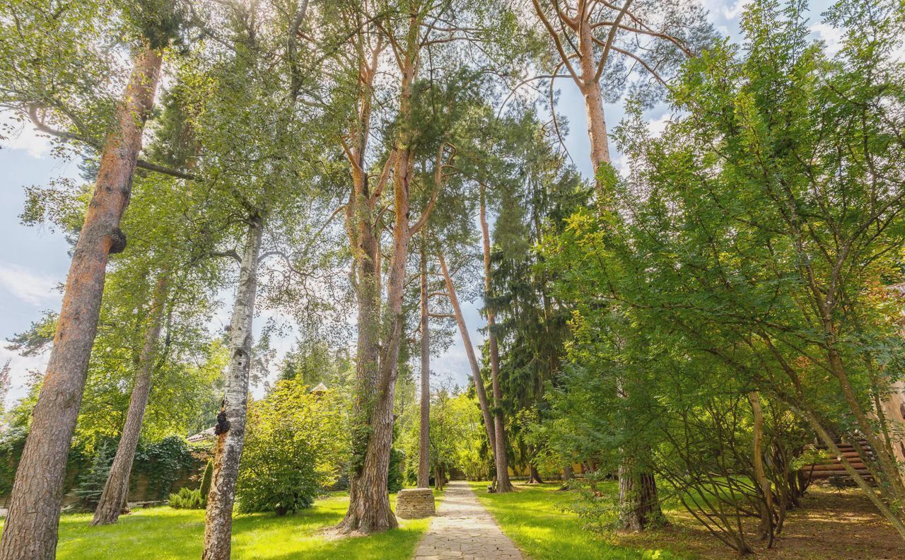 общепит, отдых городской округ Раменский п Кратово ул Сиреневая 1 дп. Кратово фото 11