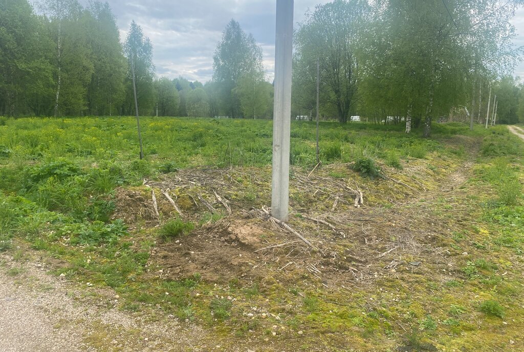 земля городской округ Шаховская садоводческое некоммерческое товарищество Малиновка фото 3