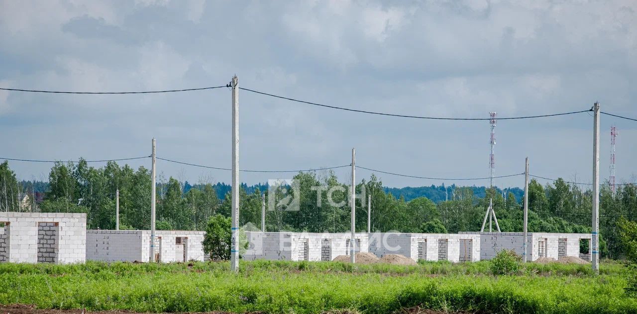 дом городской округ Щёлково д Протасово ул Есенинская фото 14