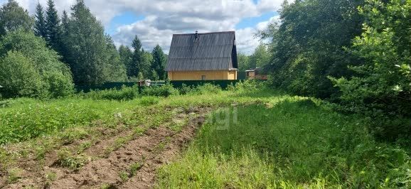 земля с Выльгорт муниципальное образование Выльгорт, СТ Мелиоратор, 1-й Нагорный пр фото