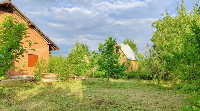 п Дорохово снт Дружба ул 4-я Садовая 40 фото