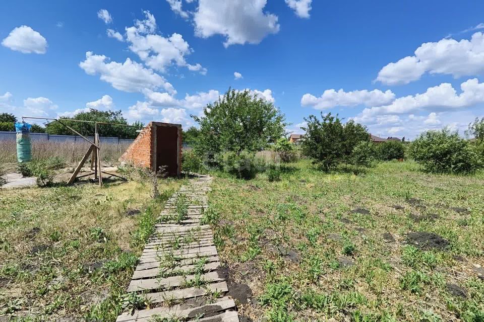 земля р-н Белгородский с Шагаровка ул Рябиновая фото 3