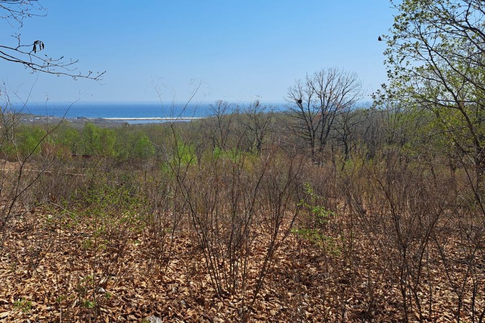 земля г Находка Находкинский городской округ, микрорайон Посёлок Ливадия фото 2