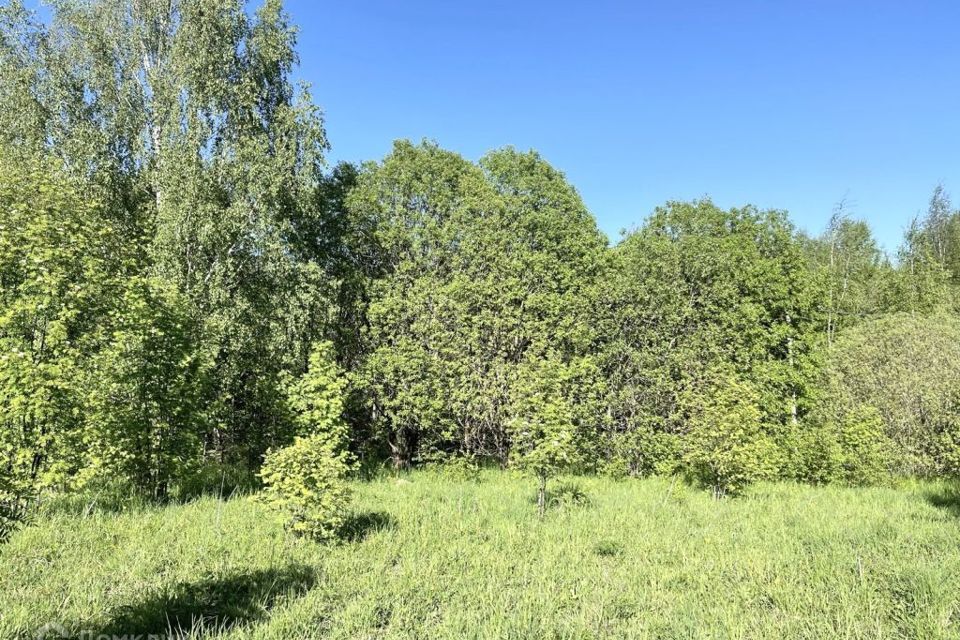 земля р-н Переславский с Городище ул Садовая городской округ Переславль-Залесский фото 3