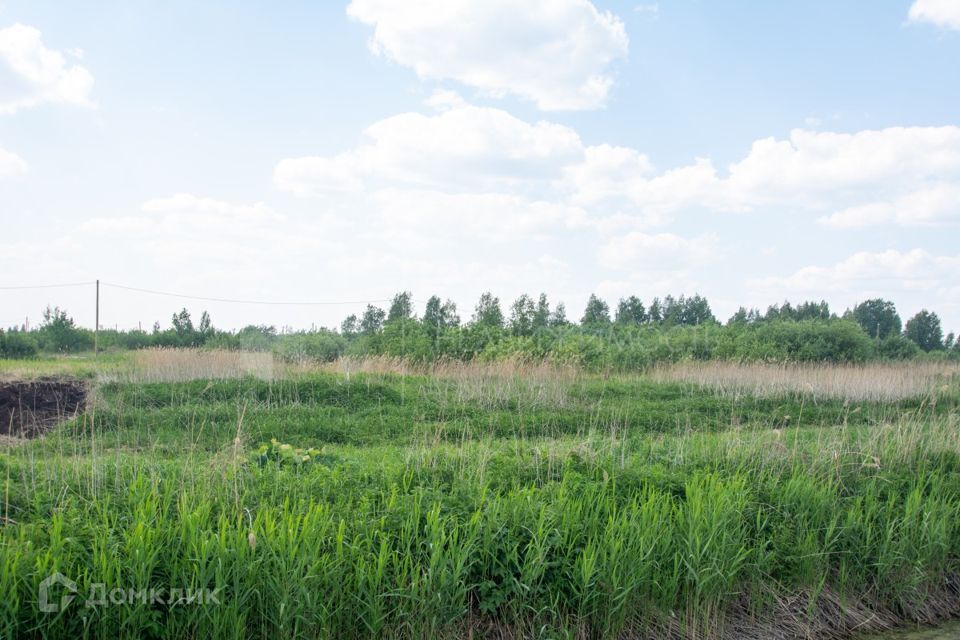 земля г Тюмень городской округ Тюмень, садоводческое некоммерческое товарищество Большое Царёво-2 фото 1