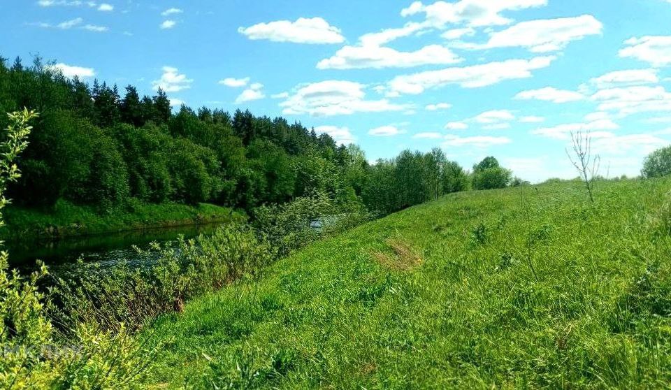 земля р-н Калязинский деревня Луки фото 2