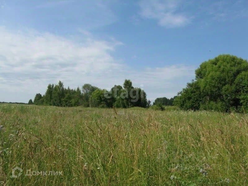 земля г Калуга д Лихун посёлок Молодёжный ул Молодёжная городской округ Калуга фото 1