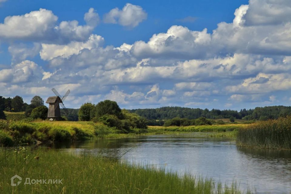 земля р-н Новоржевский деревня Осинкино фото 1