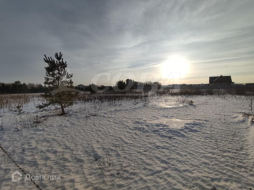 земля р-н Тюменский коттеджный посёлок Новокаменский фото 3