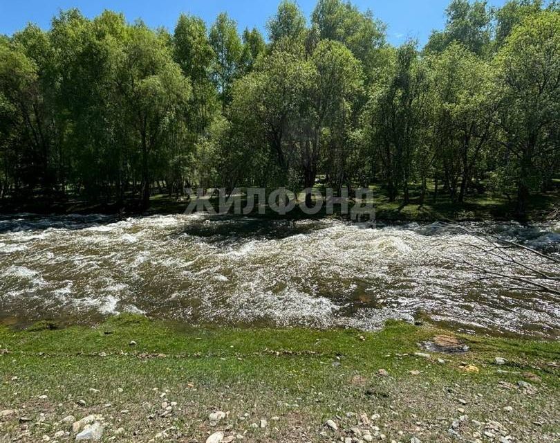 земля р-н Онгудайский с Купчегень ул Трактовая фото 1