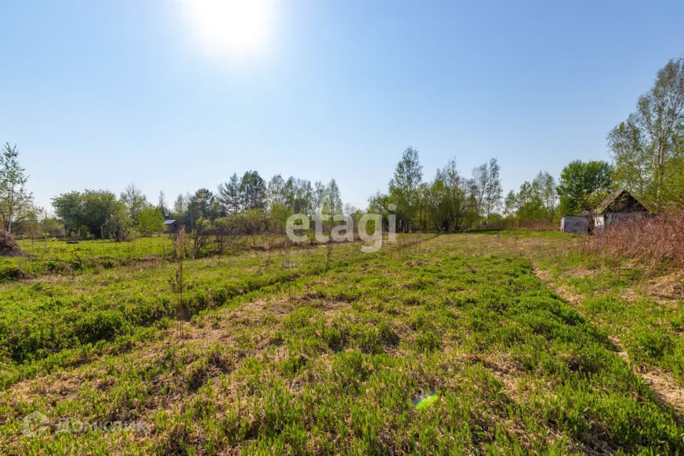 земля р-н Хабаровский садовое товарищество Заря фото 4