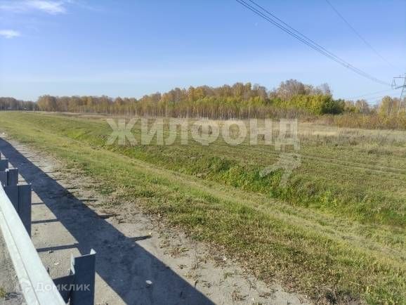 земля р-н Мошковский Р-254, северный обход Новосибирска, 66-й километр фото 2